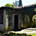 Instituto Ruth Guimarães Ruth Guimarães