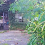 Instituto Ruth Guimarães Ruth Guimarães